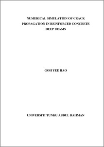 Numerical simulation of crack propagation in reinforced concrete deep ...